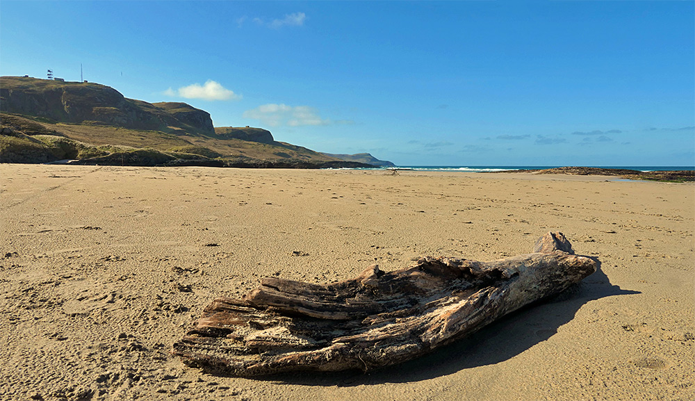 Picture of a piece of driftwood on a golden sandy beach with some cliffs and crags in the background