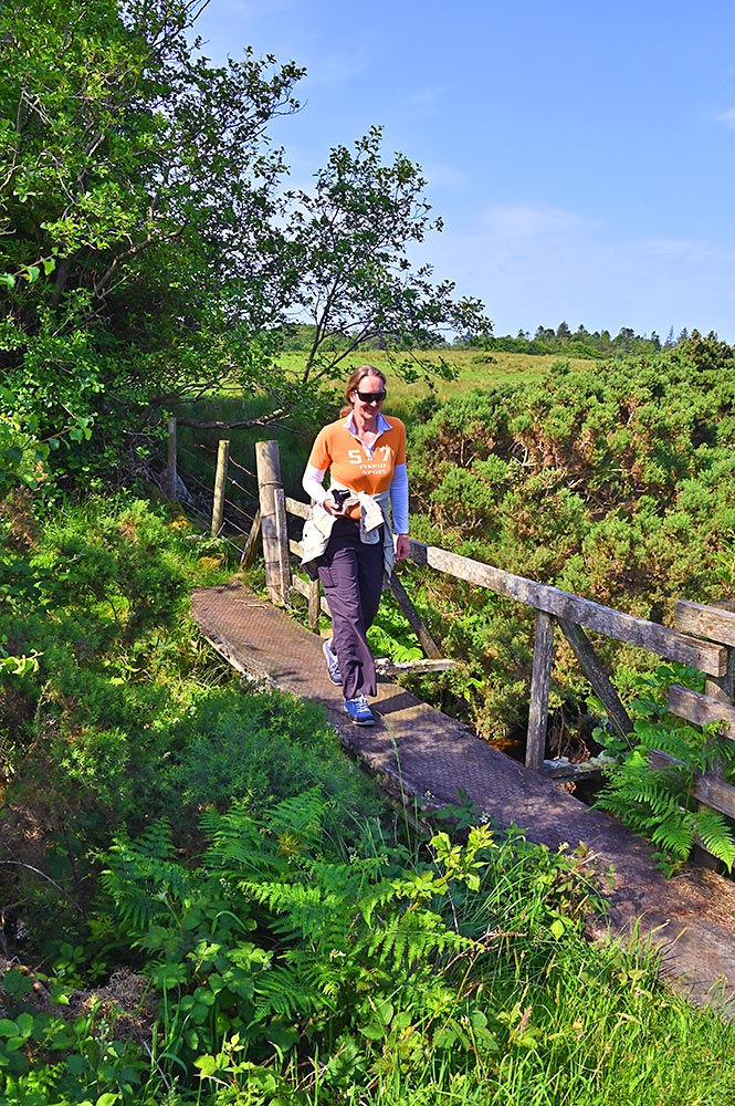 Picture of a woman walking over a small wooden footbridge
