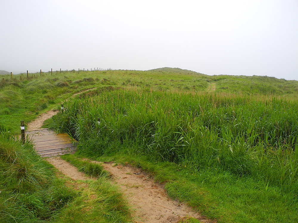 Picture of a sandy dune path with a wooden footbridge winding through dunes on a misty morning