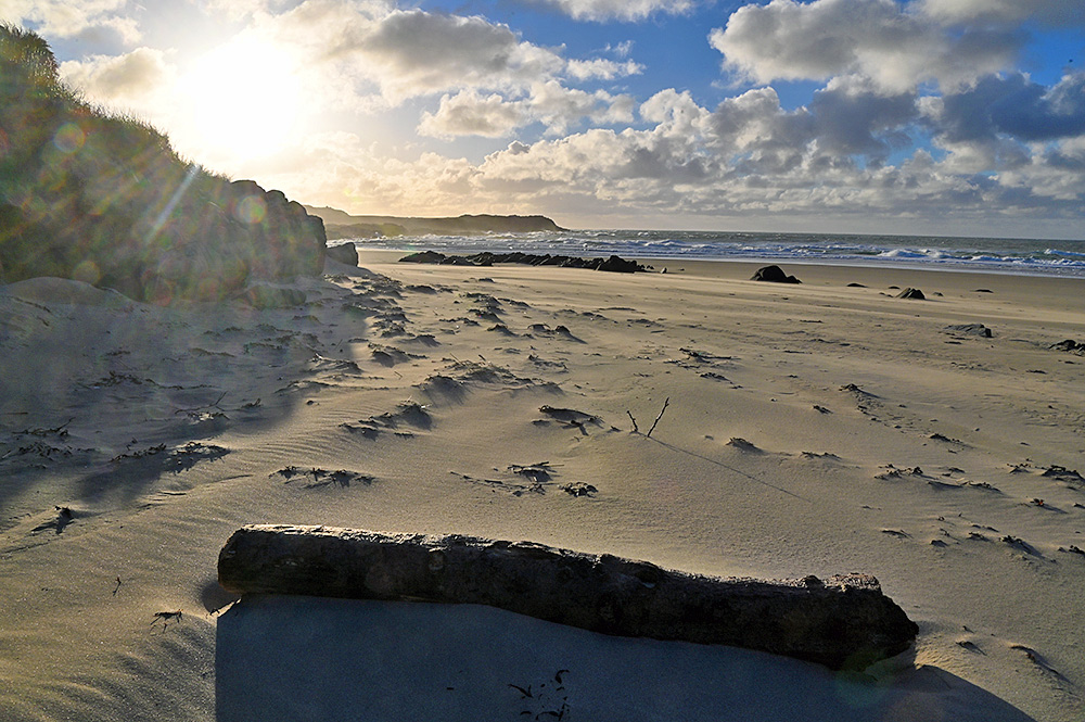 Picture of a large piece of driftwood washed up high on a sandy beach in a wide bay