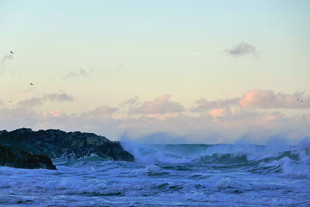 Picture of waves breaking at rocks, throwing spray into the air in the mild dawn light