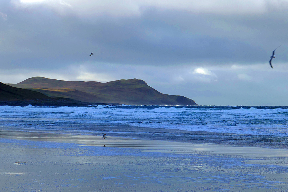 Picture of a view from a beach over a wide bay with three gulls circling