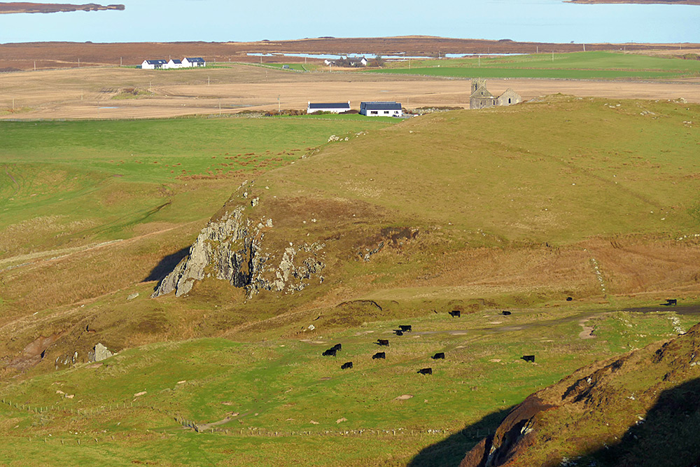 Picture of some black cattle grazing on a field behind some crags, seen from more crags higher up
