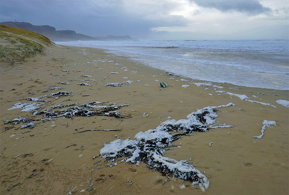 Picture of a beach with a lot of sea foam and seaweed covered in sea foam on a stormy day