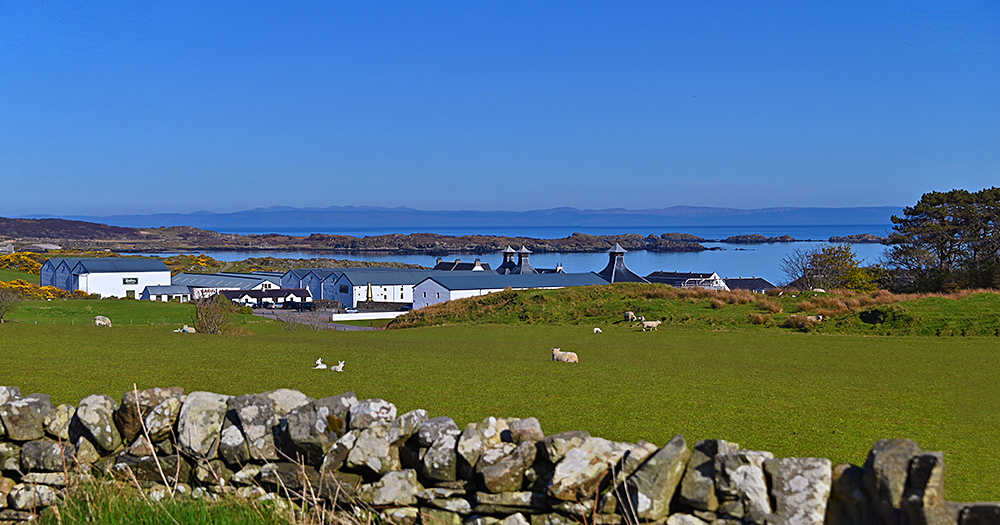 Picture of a coastal distillery on a beautiful sunny and clear April day, sheep and lambs in the field in front of the distillery