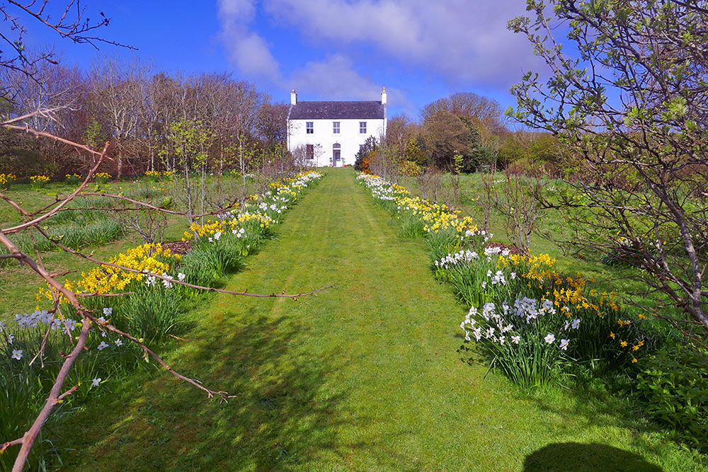Picture of a grass path lined by yellow and white flowers, leading to a white washed hout