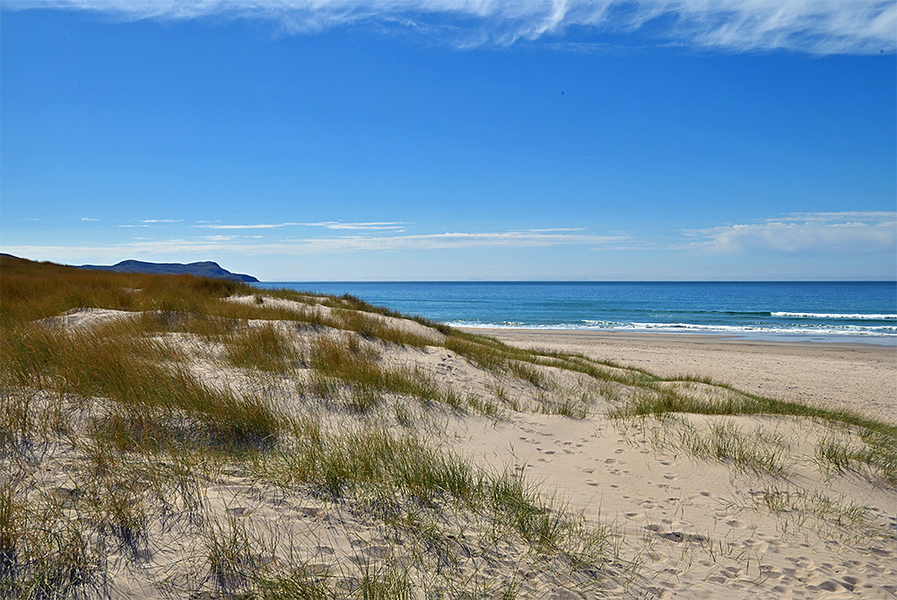 Picture of some coastal dunes at the entrance to a beach from a dune path