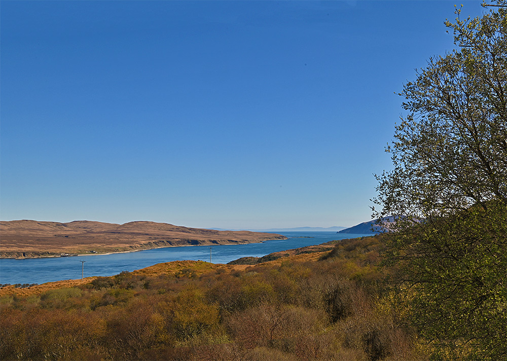 Picture of a view past a tree over a sound between two islands on a bright and sunny April day