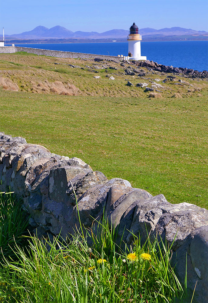 Picture of a small lighthouse on the shore of a sea loch, a few Dandelions in the foreground