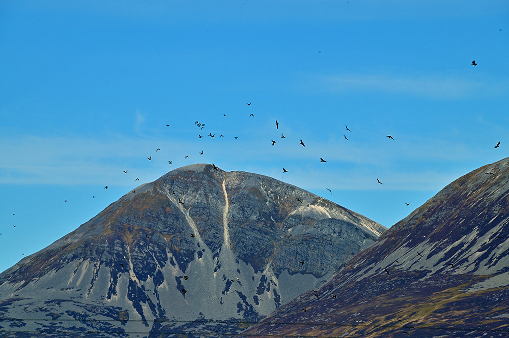 Picture of a good number of birds swirling in the air in front of two mountains