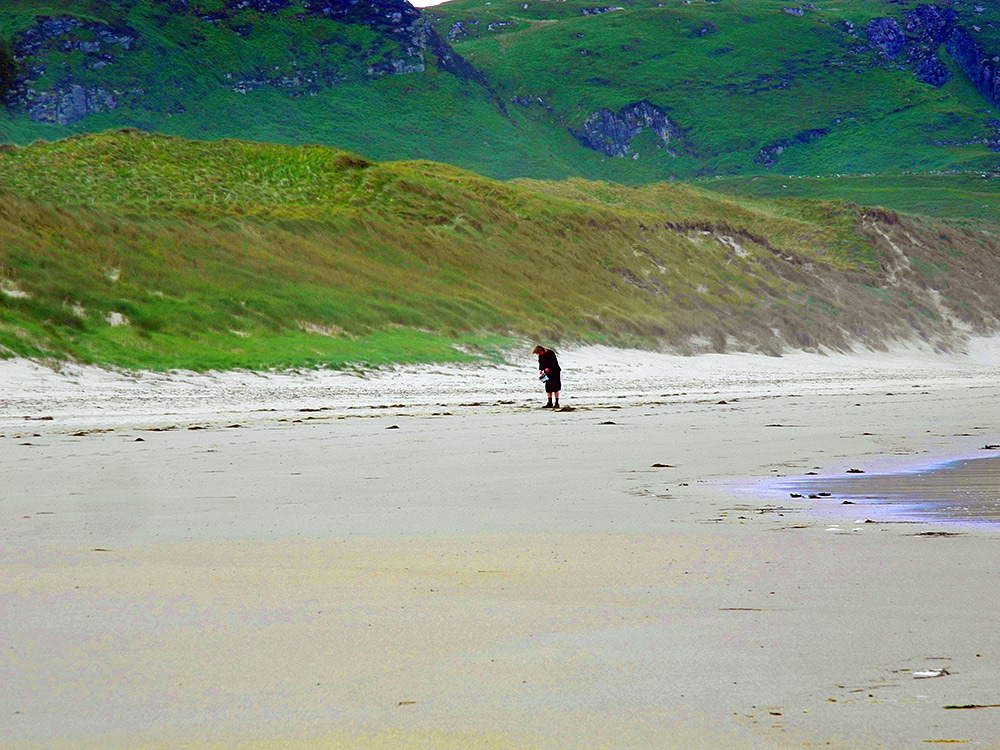 Picture of a person litter picking on a beach with dunes in the background