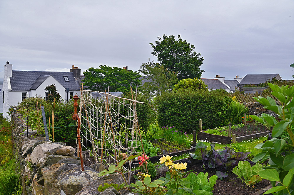 Picture of a garden with flowers and vegetable beds in a village