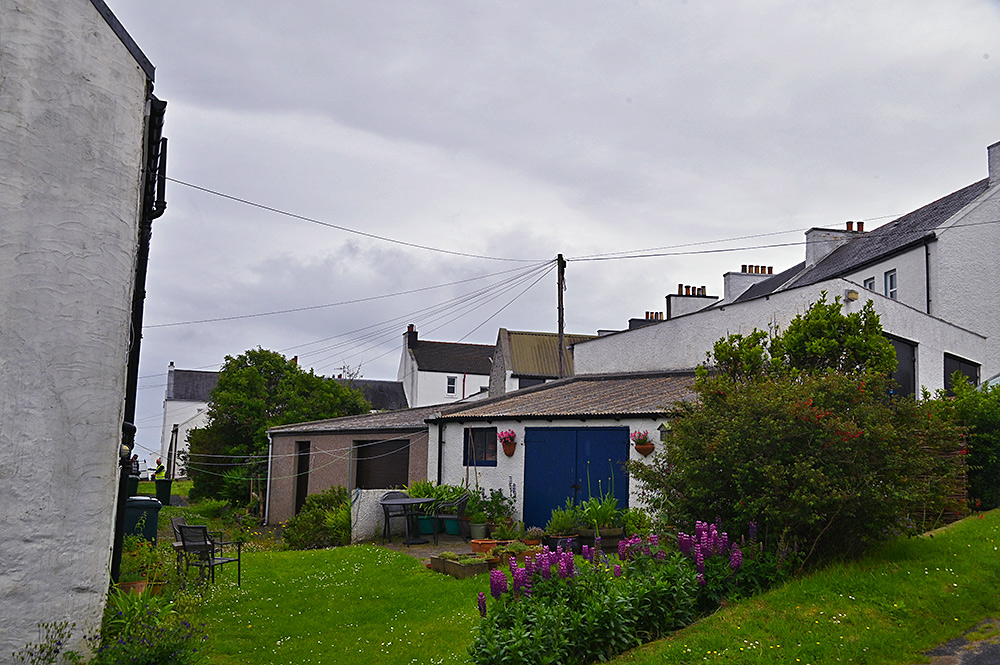Picture of some back gardens with garden huts between two rows of houses