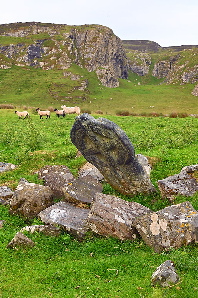 Picture of a small carved stone cross leaning over between some large stones in a field below some steep crags, some sheep between the stone and the crags